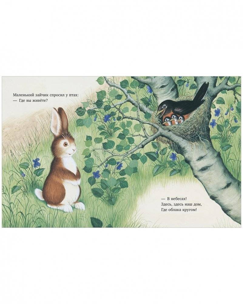 Зайчик ищет дом фото книги 6
