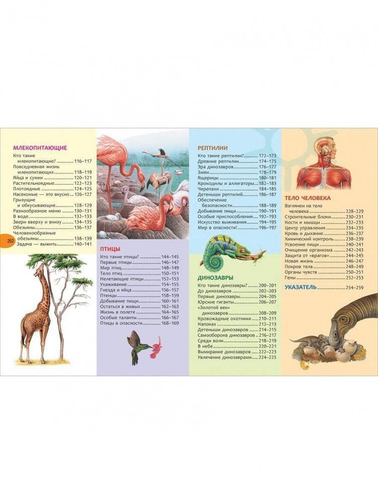 Большая энциклопедия знаний фото книги 3