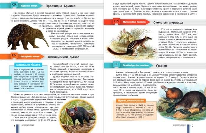 Красная книга мира фото книги 4