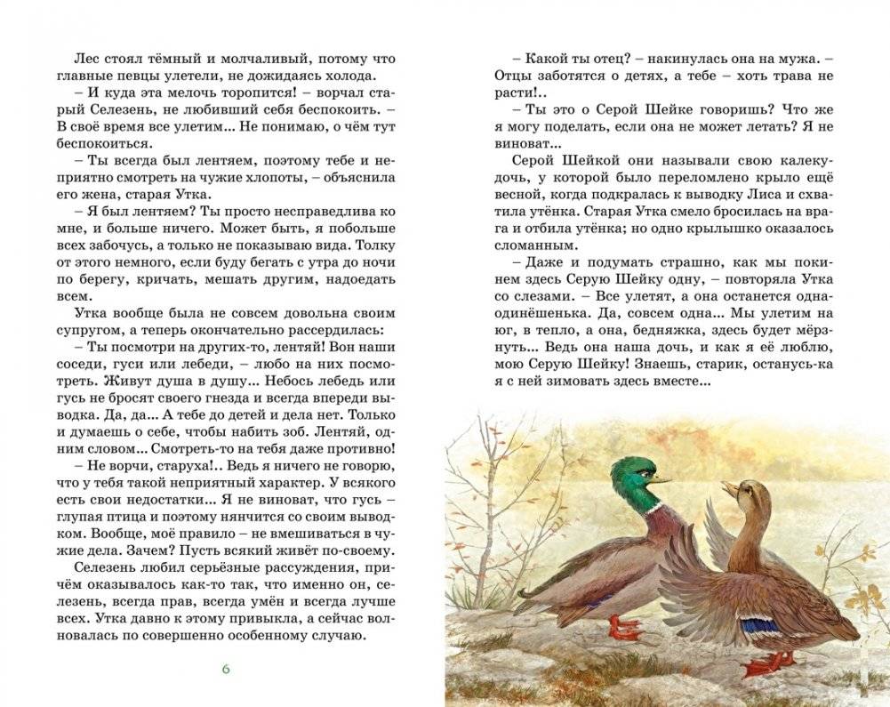 Серая шейка фото книги 2