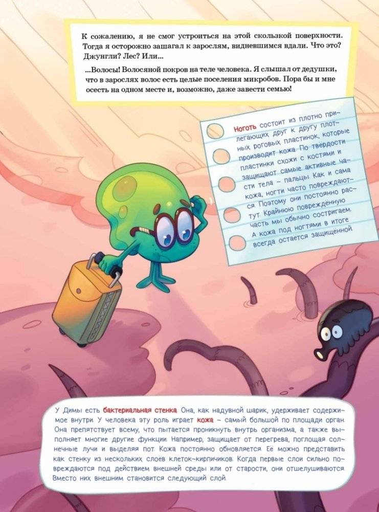 Микроб Дима ищет дом, или Путешествие по телу человека фото книги 4