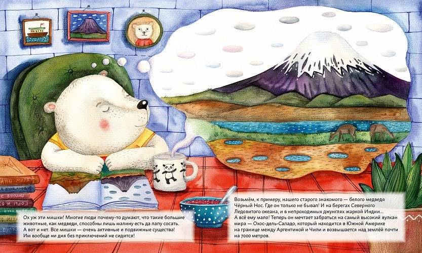 Мишки путешествуют на вулкан. Чёрный Нос и дальний поход фото книги 3