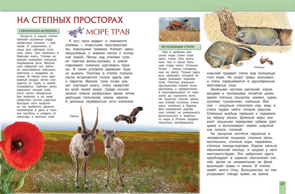 Животные России фото книги 2