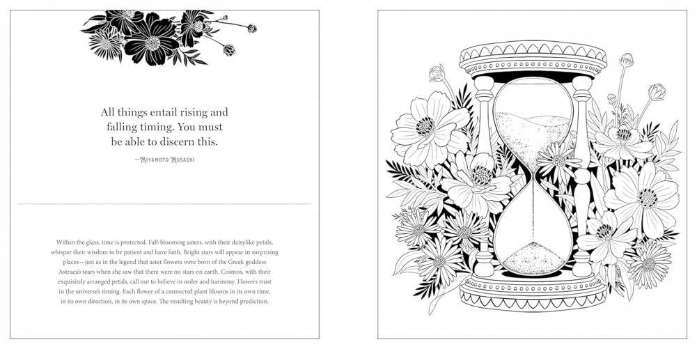 Floriographic: Secret Garden coloring book фото книги 3