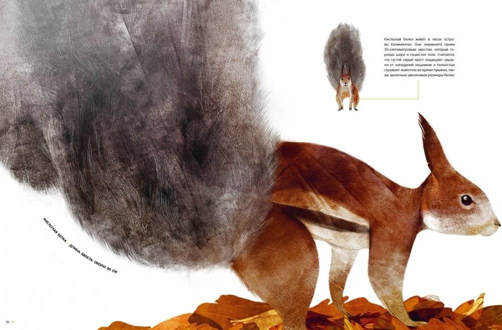 Самые удивительные животные в натуральную величину фото книги 6