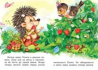 Ежик и птичка фото книги 2