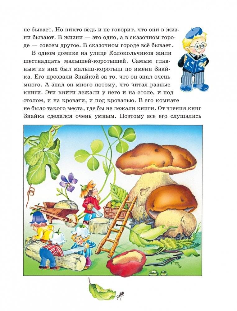Приключения Незнайки и его друзей (ил. О Чумаковой) фото книги 5