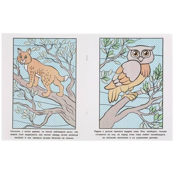 Чудесный день в лесу. Водная раскраска фото книги 3