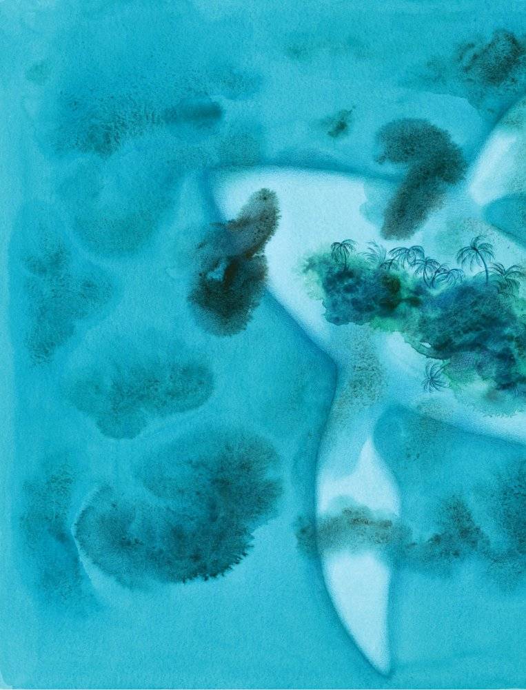 Остров мечты. Секрет стражей леса фото книги 5