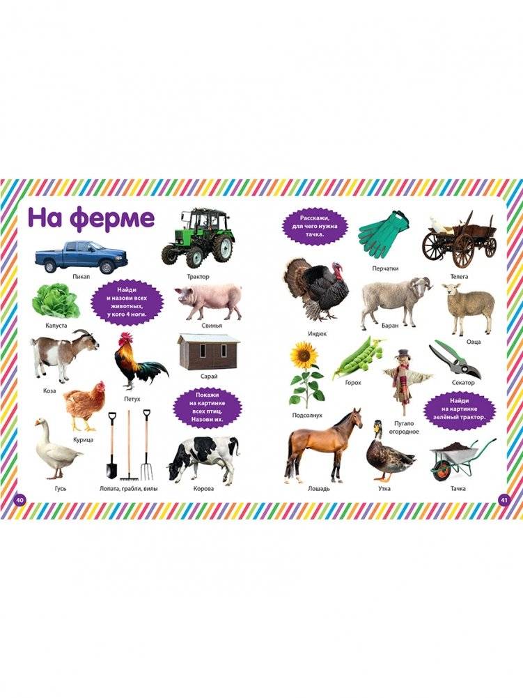 Мир вокруг нас. Фотокнига для малышей фото книги 7