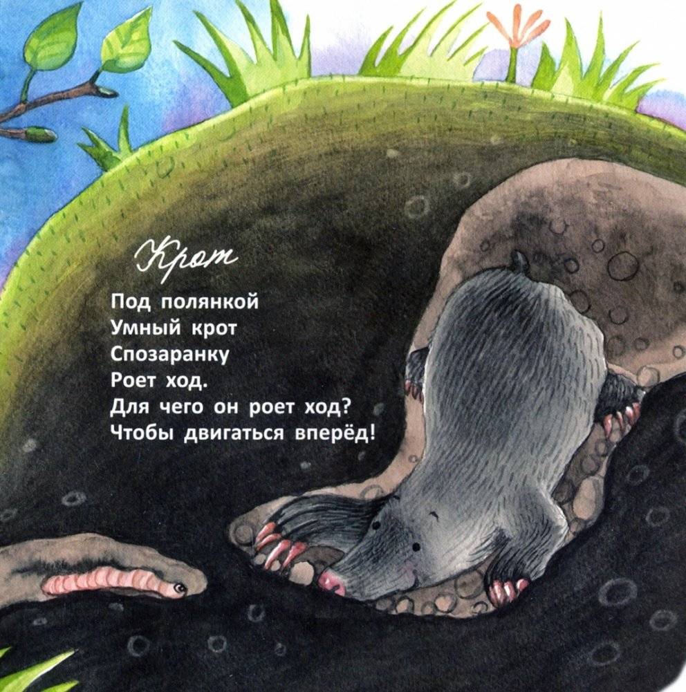 Цап-царап и чик-чирик фото книги 6