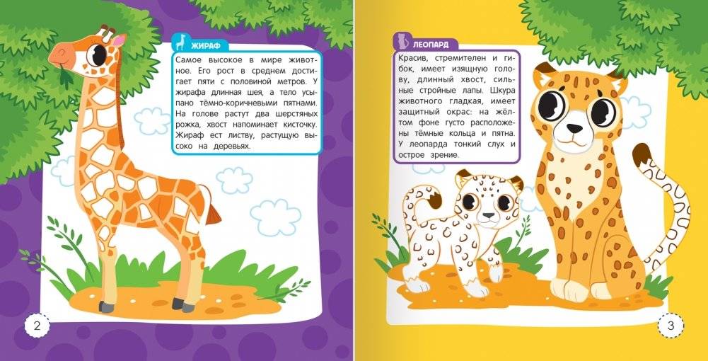 Дикие животные. Раскраска-энциклопедия (более 10 животных) фото книги 2