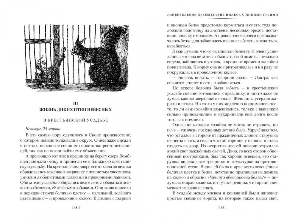 Удивительное путешествие Нильса с дикими гусями фото книги 7