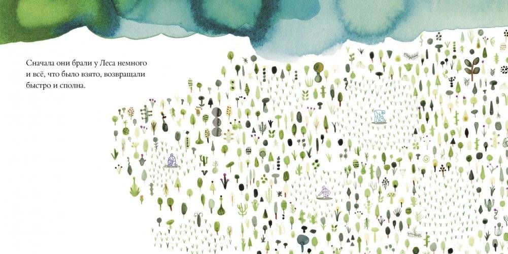 Лес фото книги 5