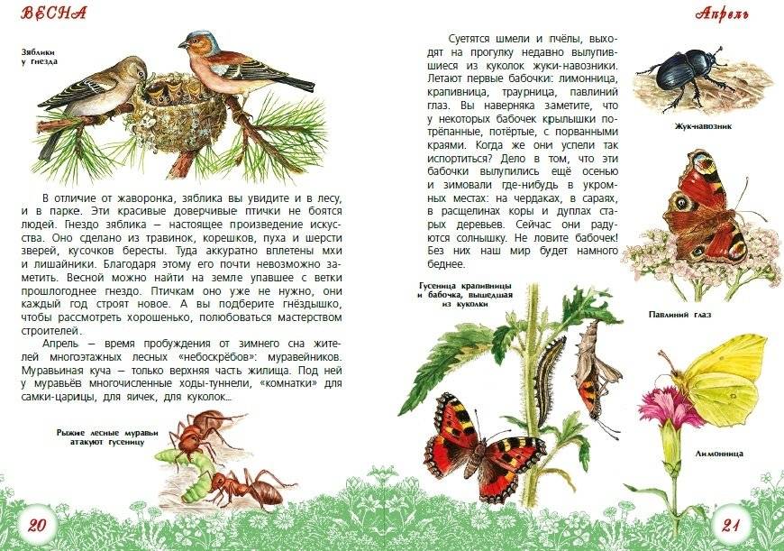 Круглый год фото книги 3