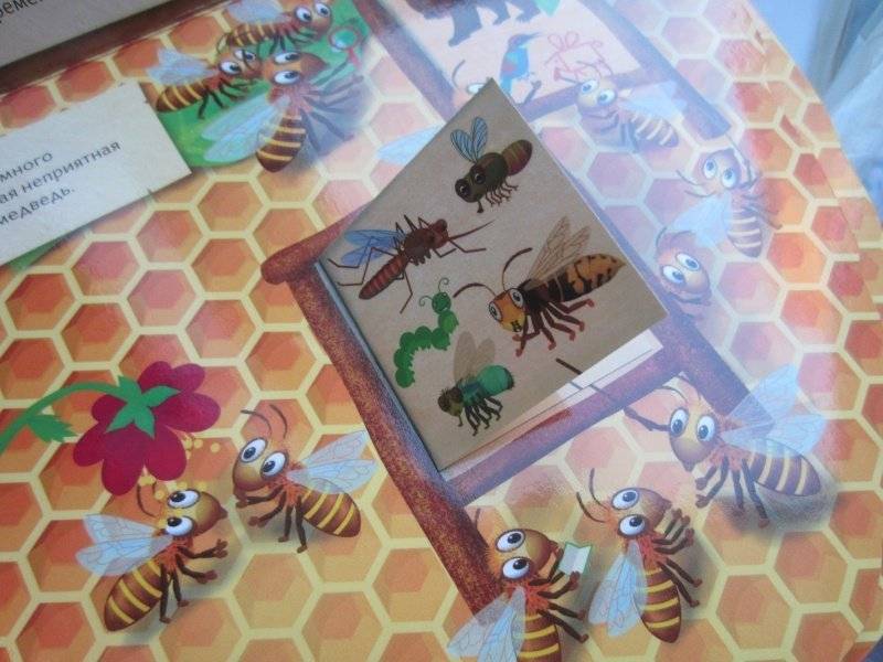 Улей. Как живут пчёлы? фото книги 3