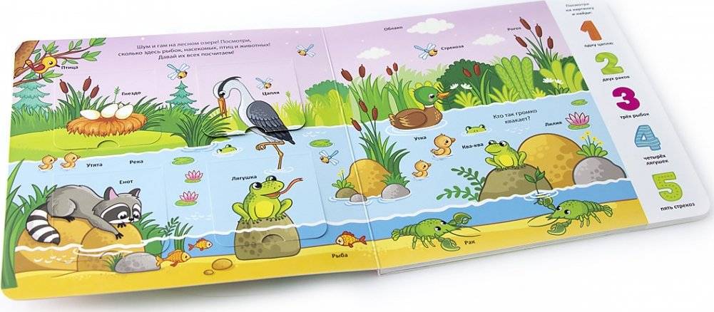 Книжка с окошками "Мои первые слова. Лес" фото книги 4