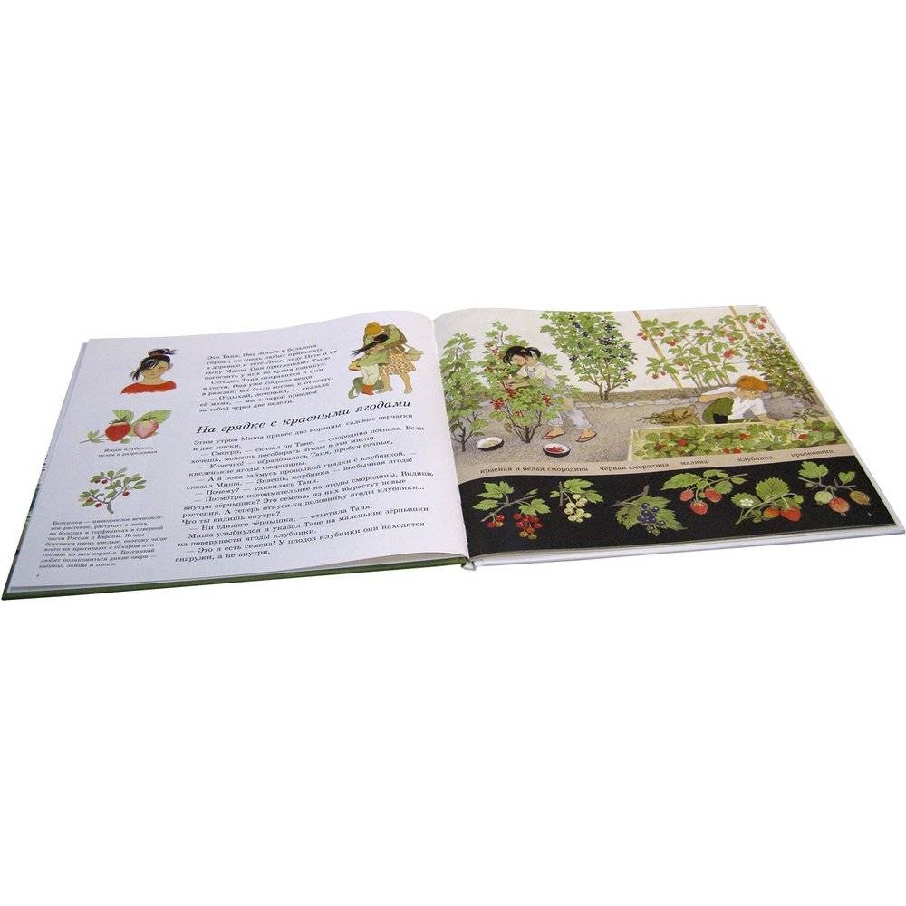 Как растут ягоды, орехи и фрукты фото книги 4