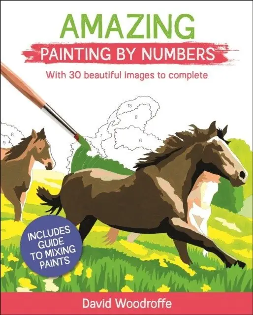 Amazing Painting By Numbers фото книги