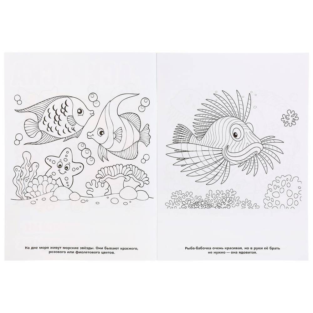 Морские животные фото книги 3