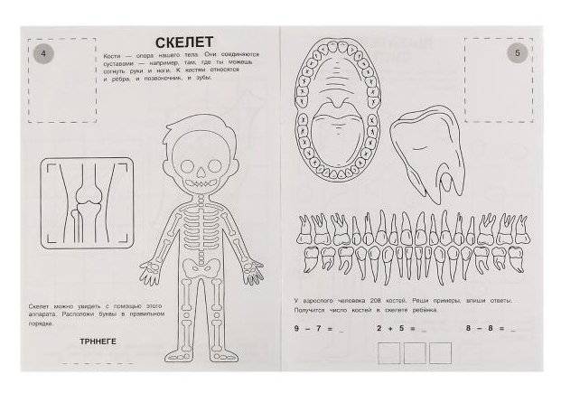 Внутренние органы. Раскраска. Атлас. Тело человека фото книги 3