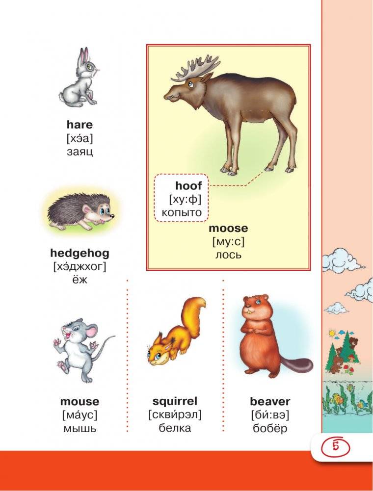 Английский визуальный словарь с произношением фото книги 4
