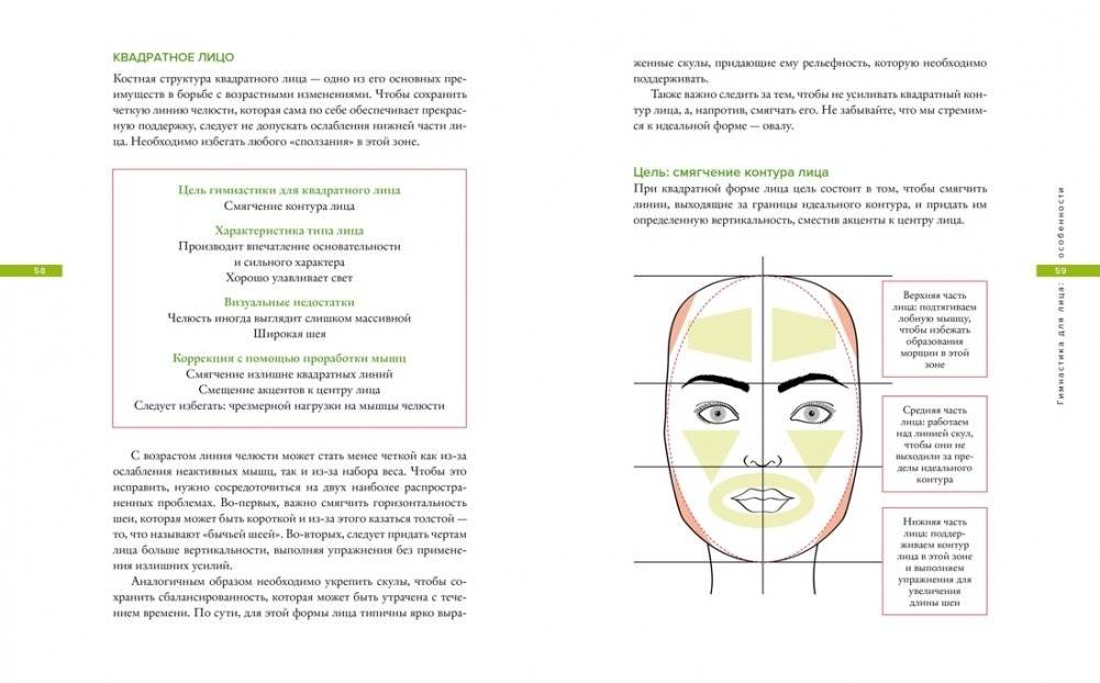 Гимнастика для лица. Натуральный подход к сохранению красоты, молодости и здоровья кожи фото книги 4