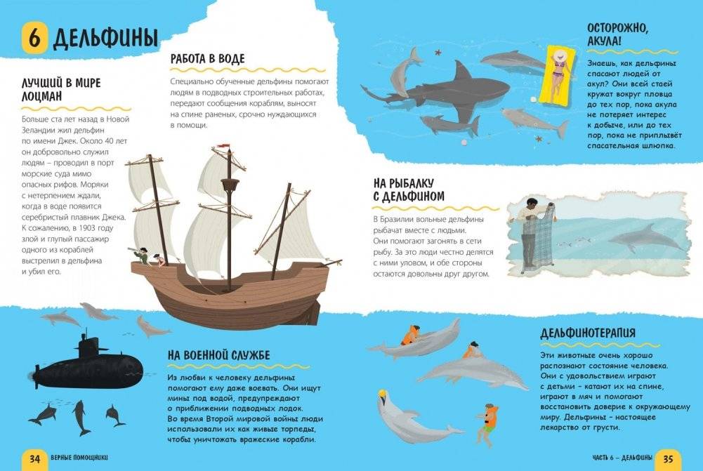 Верные помощники фото книги 4