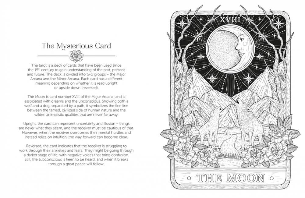 Luna Colouring : Embrace the Magic of the Moon фото книги 5