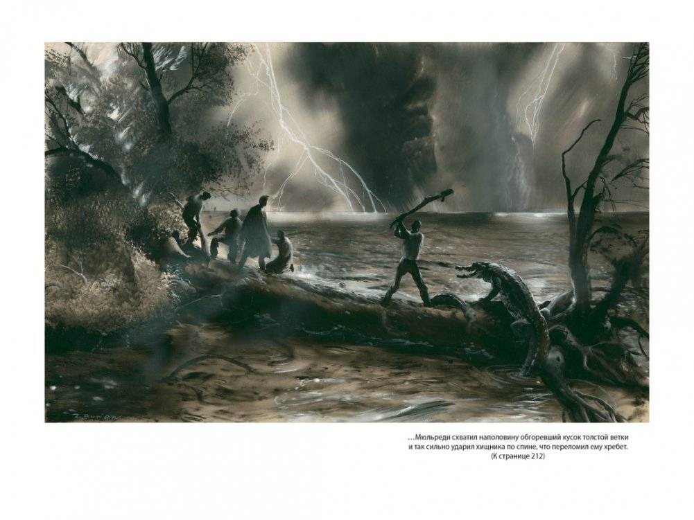 Дети капитана Гранта фото книги 5