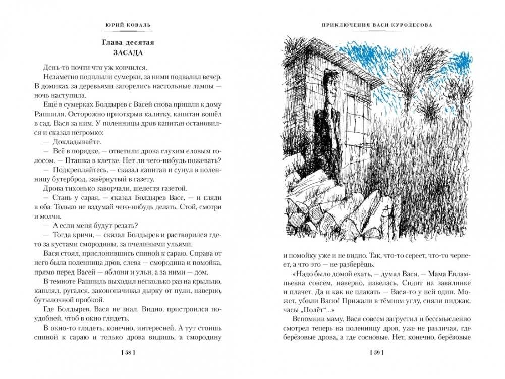 Приключения Васи Куролесова. Недопёсок (ил. Г. Калиновского, Ю. Коваля, Р. Варшамова) фото книги 8