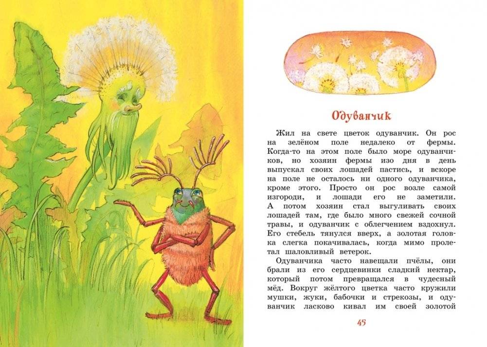 Медвежонок Тедди и другие сказки фото книги 2