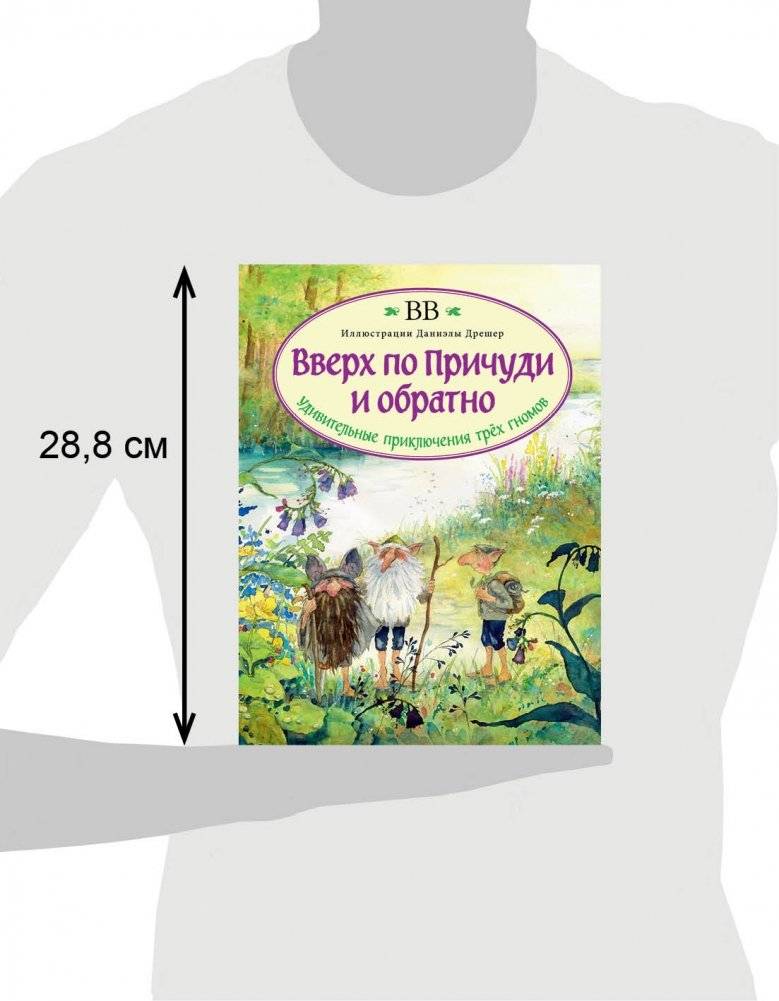 Вверх по Причуди и обратно. Удивительные приключения трех гномов фото книги 5