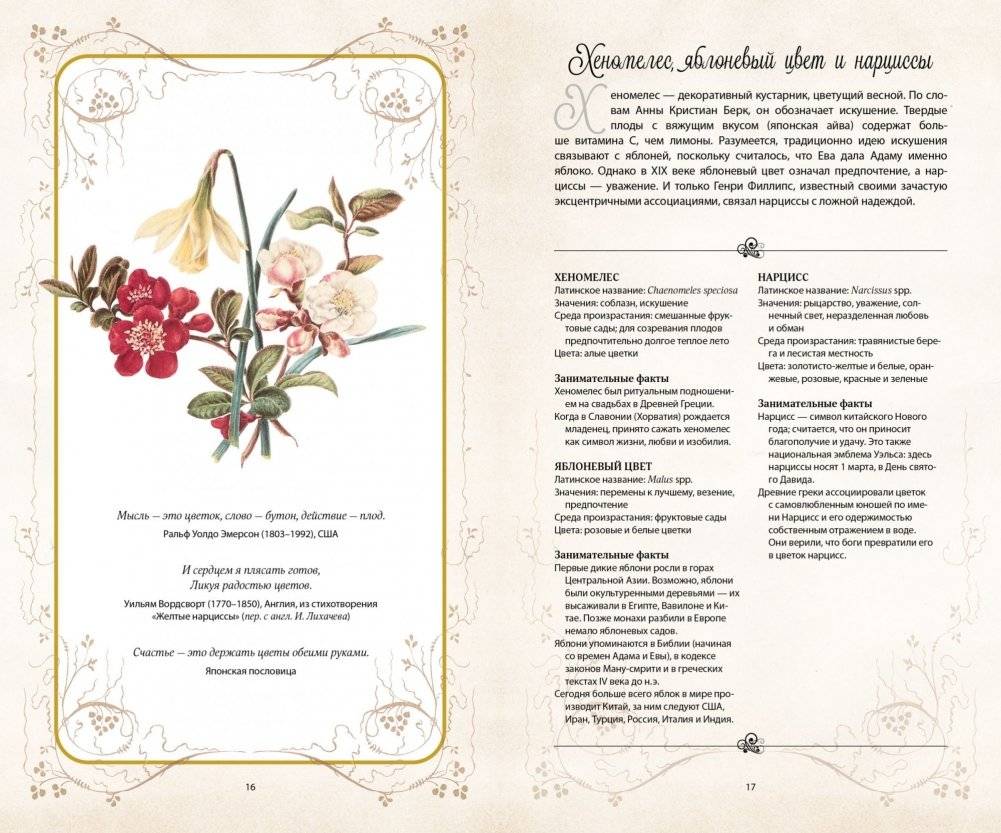 Тайный язык цветов фото книги 4