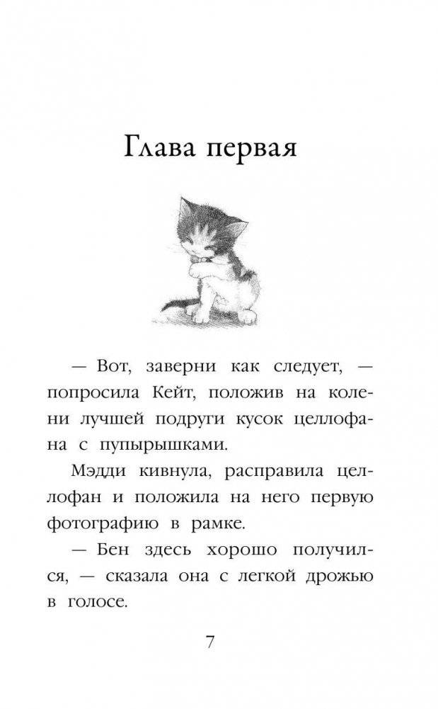 Котёнок Пуговка, или Храбрость в награду фото книги 7