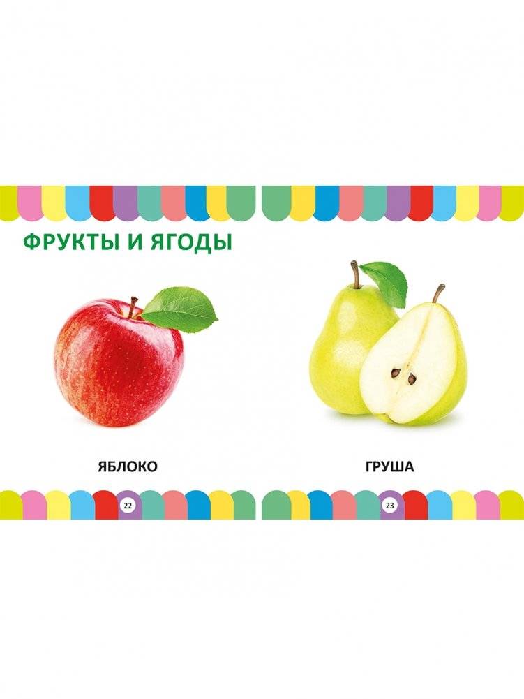 Большая энциклопедия для малышей от 1 года до 3 лет. Фотокнига фото книги 3