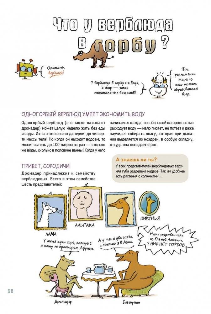 Наука не скука. Ученые ответы на детские вопросы фото книги 4