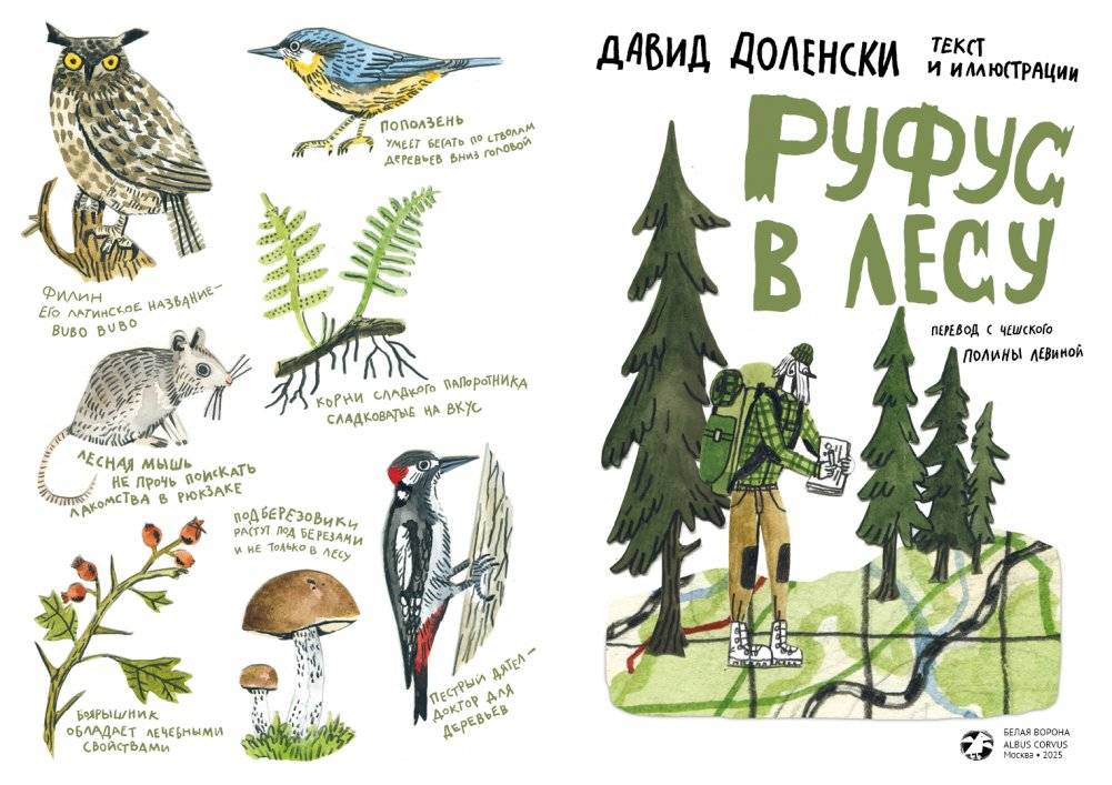 Руфус в лесу фото книги 2