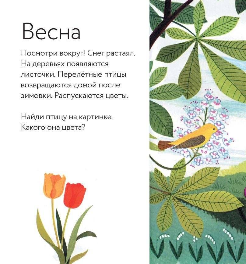 Времена года фото книги 9