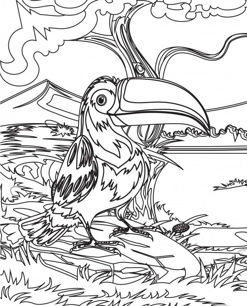 Раскраски из сказки. Птицы фото книги 6