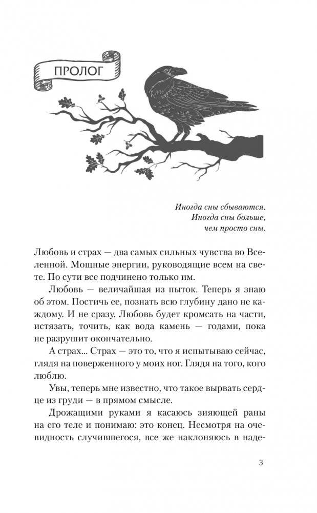 Реннвинд. Поцелуй ночи фото книги 3