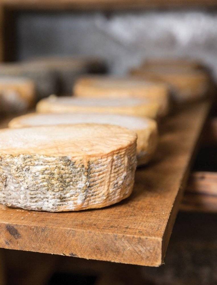 Искусство натурального сыроделия фото книги 3