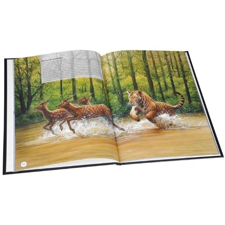 Чудеса природы. Энциклопедия фото книги 3