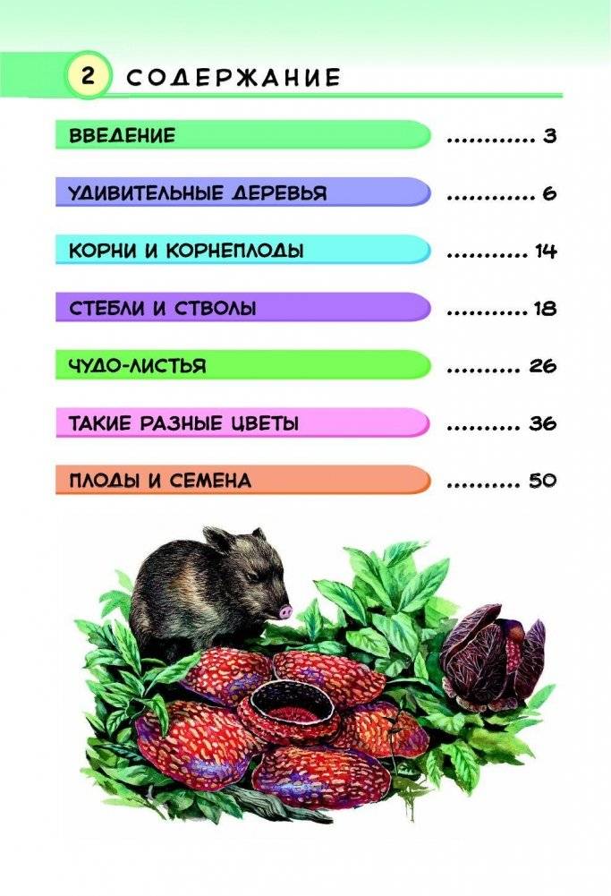 Тропические растения. Удивительная флора жарких стран фото книги 3