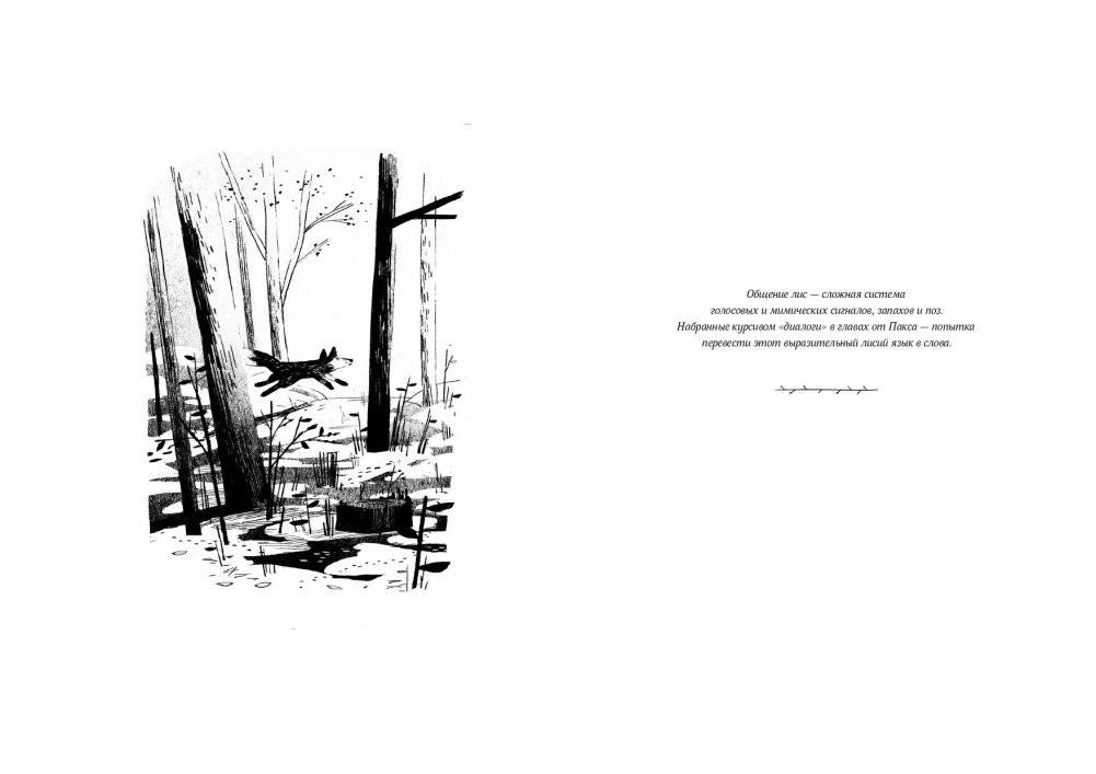 Пакс. Дорога домой фото книги 2