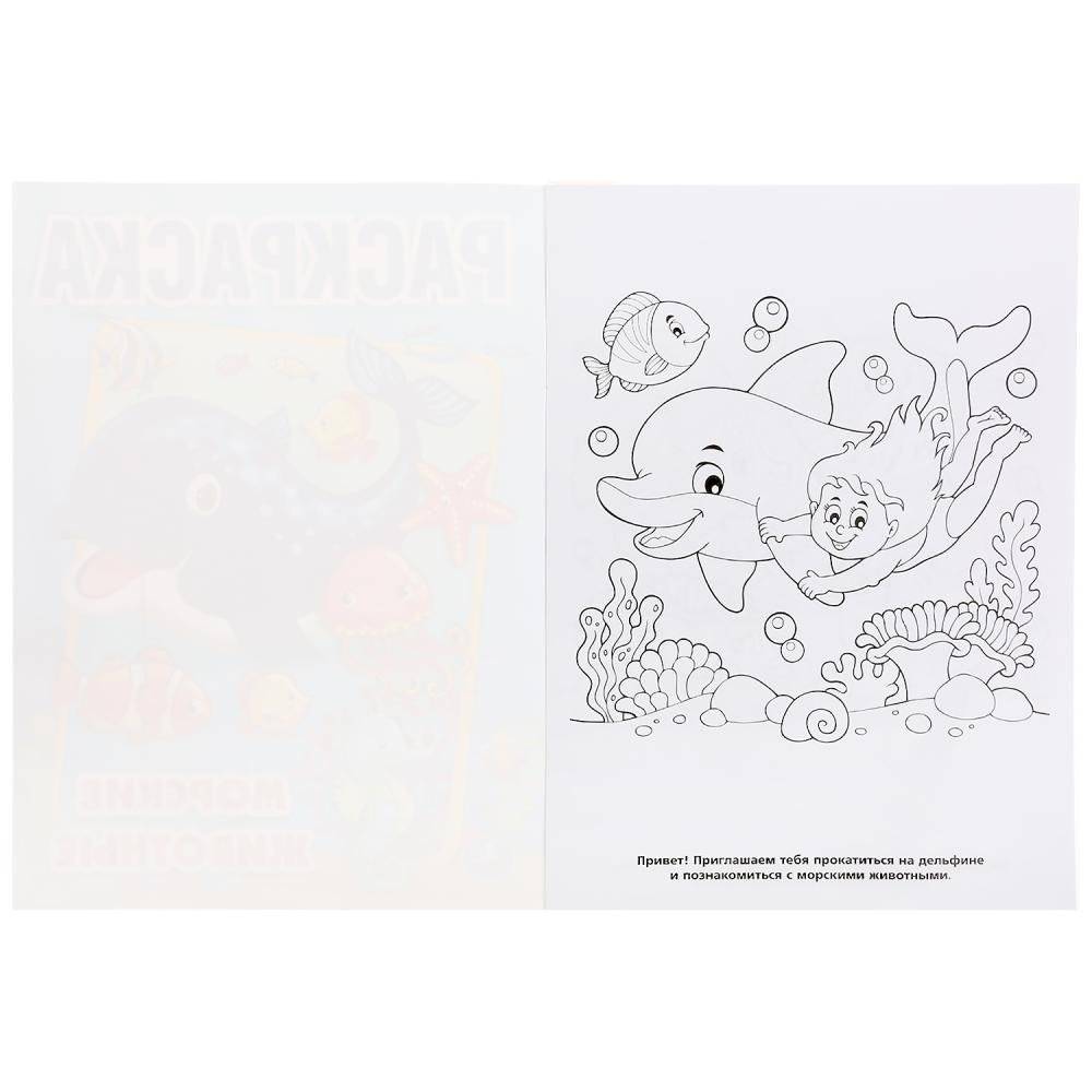 Морские животные фото книги 2