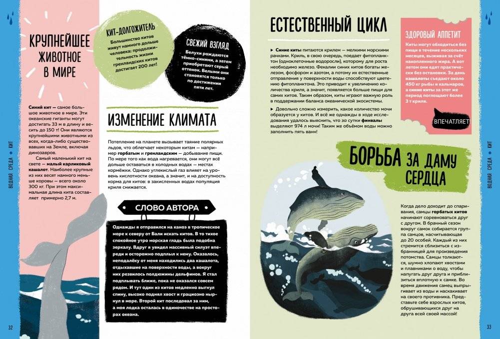 Мир вокруг тебя. Эти невероятные животные! фото книги 6