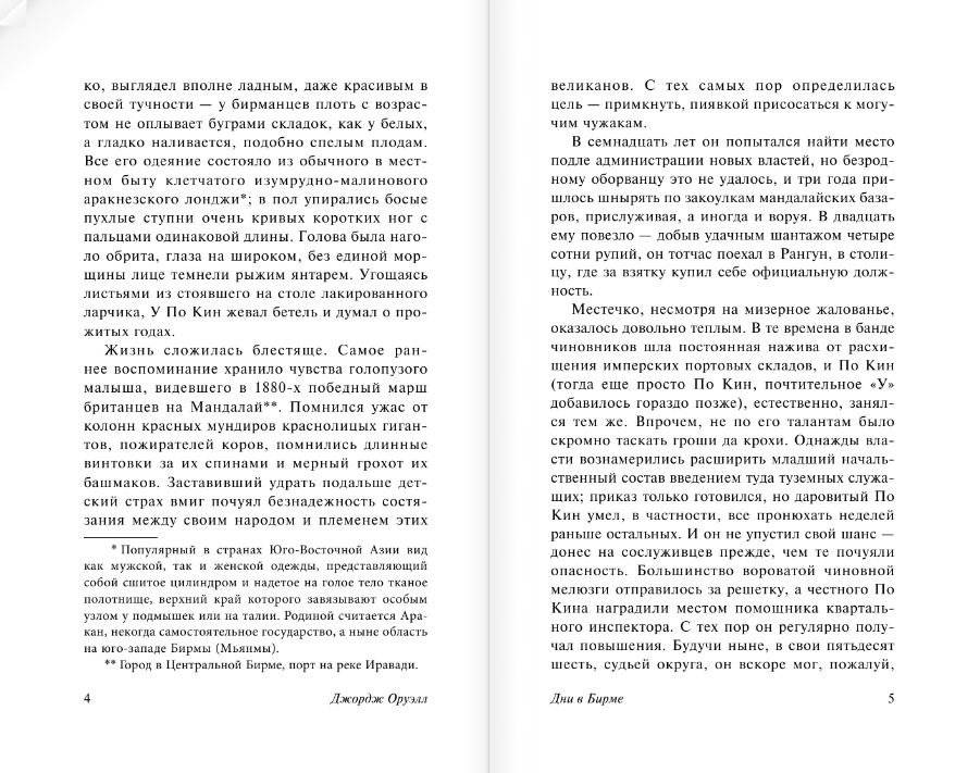 Дни в Бирме фото книги 5