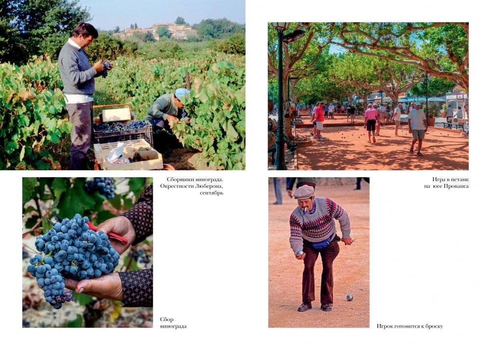 Год в Провансе фото книги 4