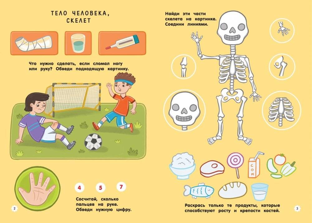 Как все устроено. Книга с заданиями фото книги 2